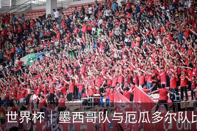 世界杯｜墨西哥队与厄瓜多尔队比赛因雷雨延迟